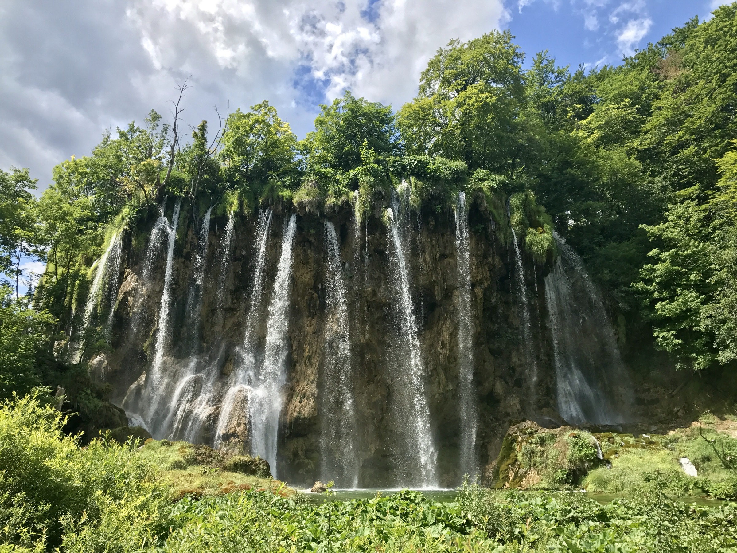 Slapovi Plitvičkih jezera okruženi šumom